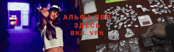 дурь Магас