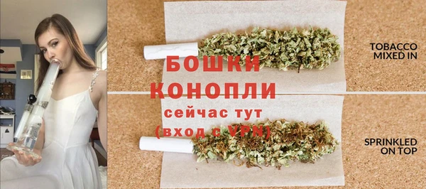 дурь Магас