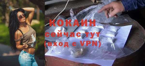 дурь Магас