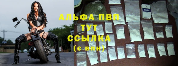 сатива Майский