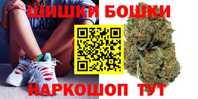 молекула духа Кингисепп