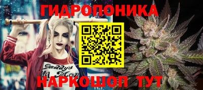 jwh Кимры