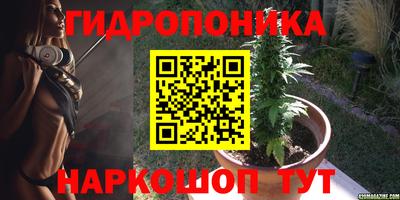 молекула духа Кингисепп