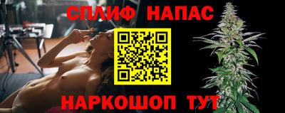 стафф Бийск