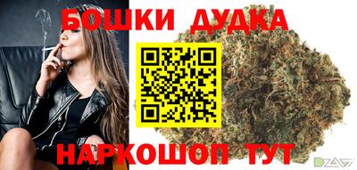 молекула духа Кингисепп