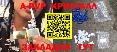 молекула духа Кингисепп