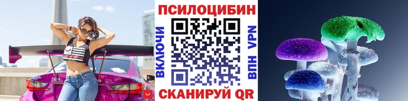 Псилоцибиновые грибы Psilocybe Сафоново