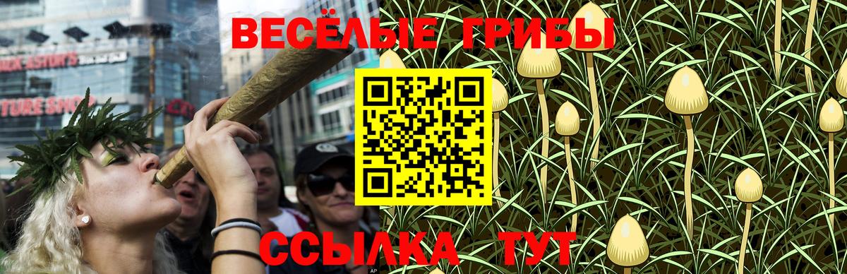 Псилоцибиновые грибы Psilocybe Сафоново