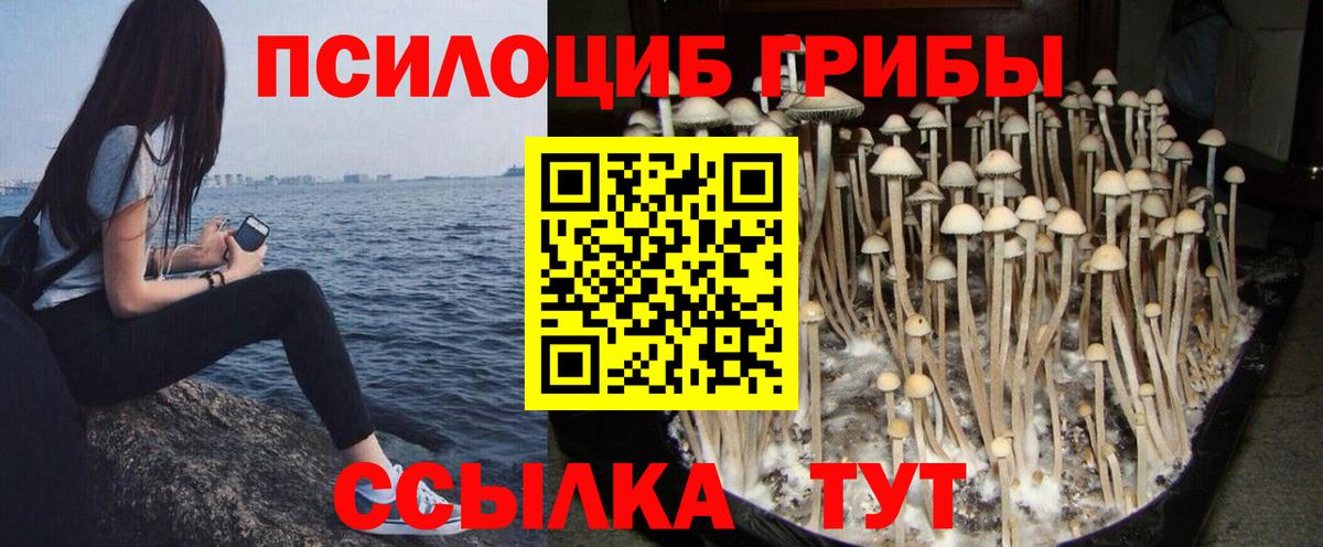 Псилоцибиновые грибы прущие грибы Сафоново