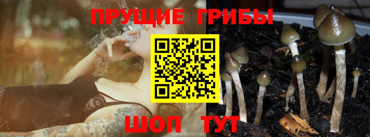 Псилоцибиновые грибы ЛСД  купить наркотики сайты  Псилоцибиновые грибы мухоморы  Сафоново 